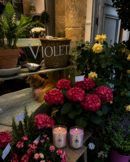 Rose Vanilla LUXURY CANDLE
