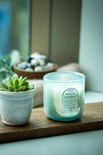 1212 — Eucalyptus Mint